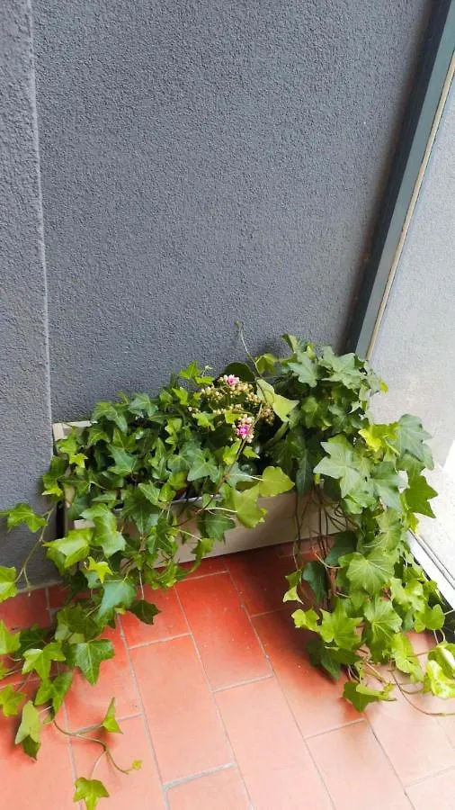 So Fine Petruzzelli Flat Apartment Bari
